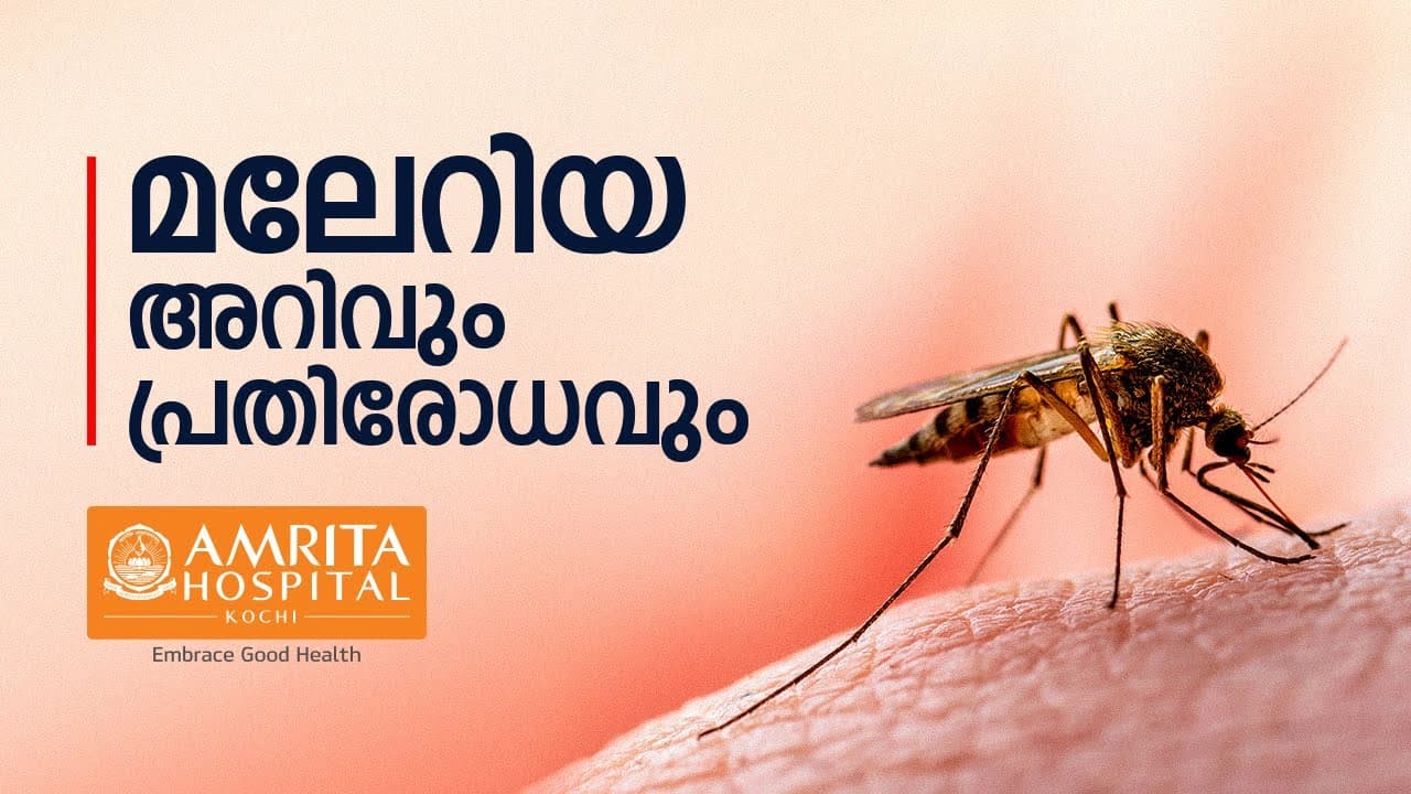 Time to deliver zero malaria: Join the fight: Invest, Innovate and Implement.